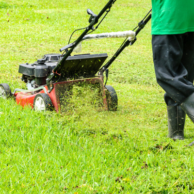  GARDEN & LANDSCAPING  WORK